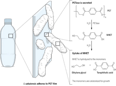 Cantidades de basura principalmente plastico
