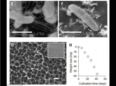 Cantidades de basura principalmente plastico