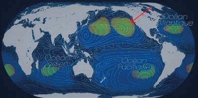 Contaminación en los mares